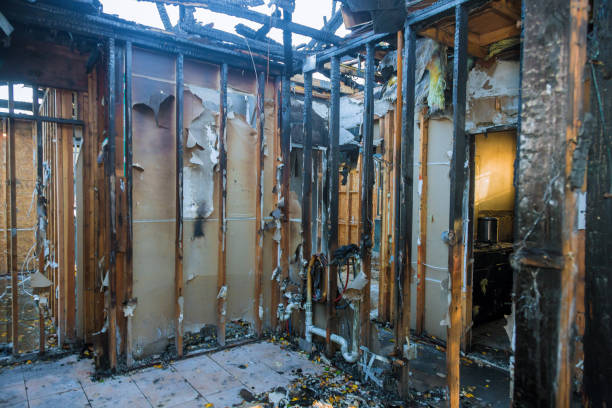 Professional Fire Damage Removal technician working in Burkittsville, MD