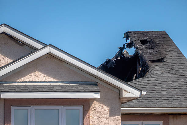 Top rated local Fire Damage Removal specialists in Burkittsville, MD